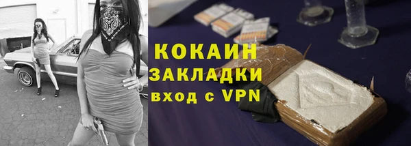 тгк Алзамай