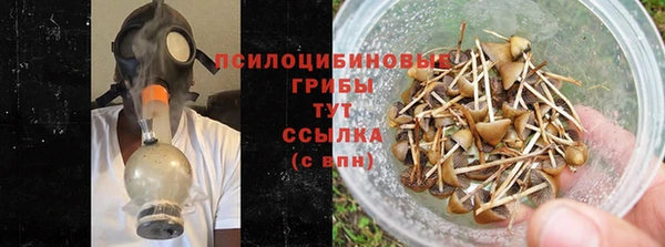 дмт Алексеевка
