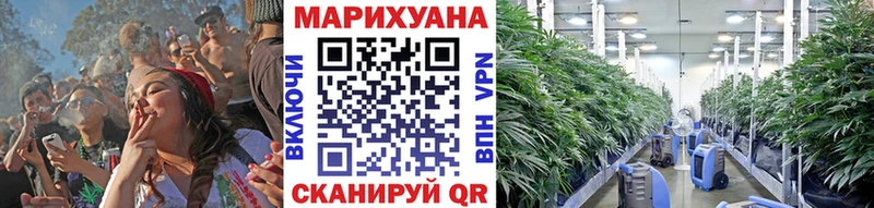 Каннабис индика  где можно купить   Грязовец 